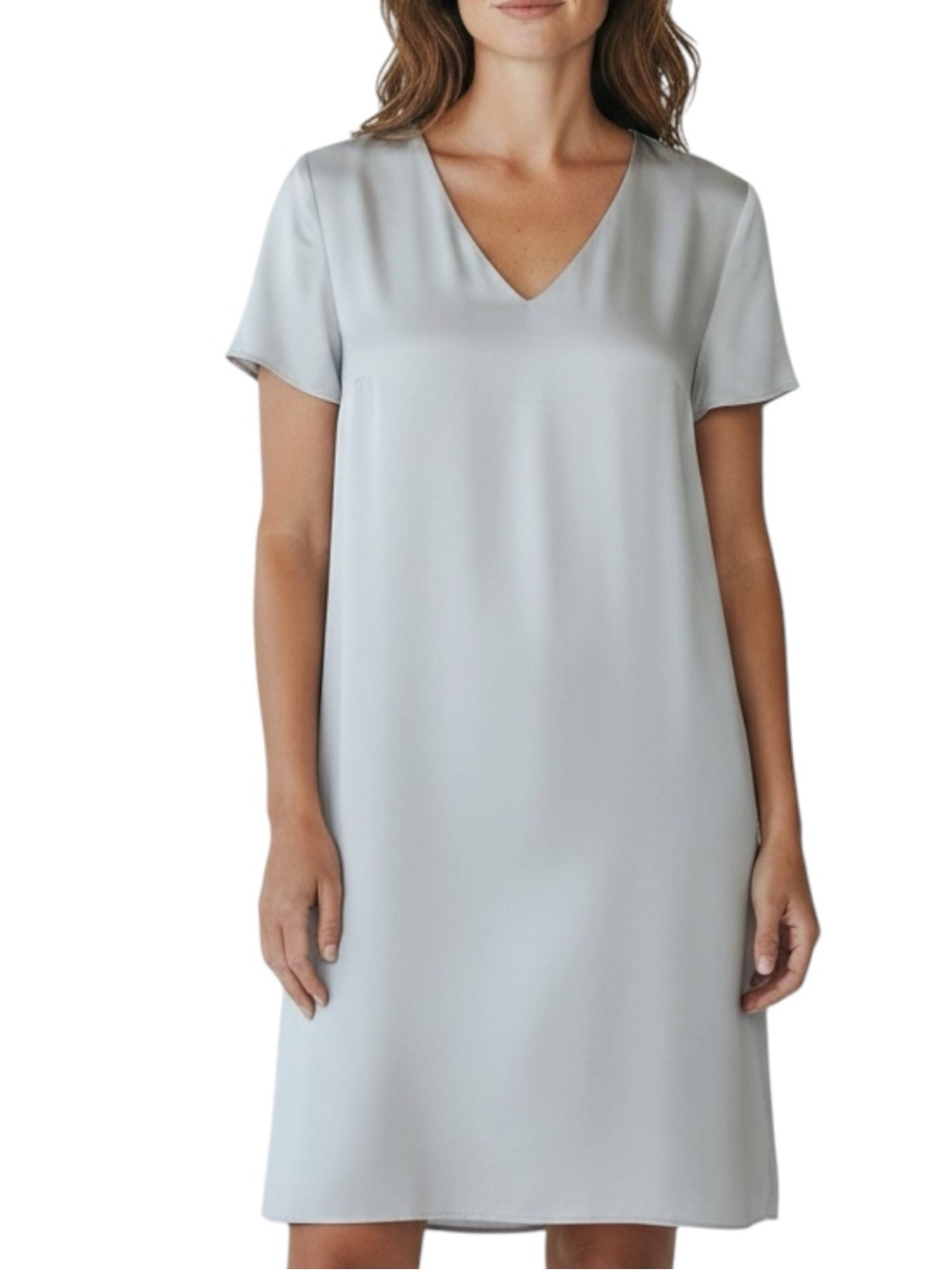 IRIS & INK Shift Dress in Silver Size 4 — GORGEOUS!!!